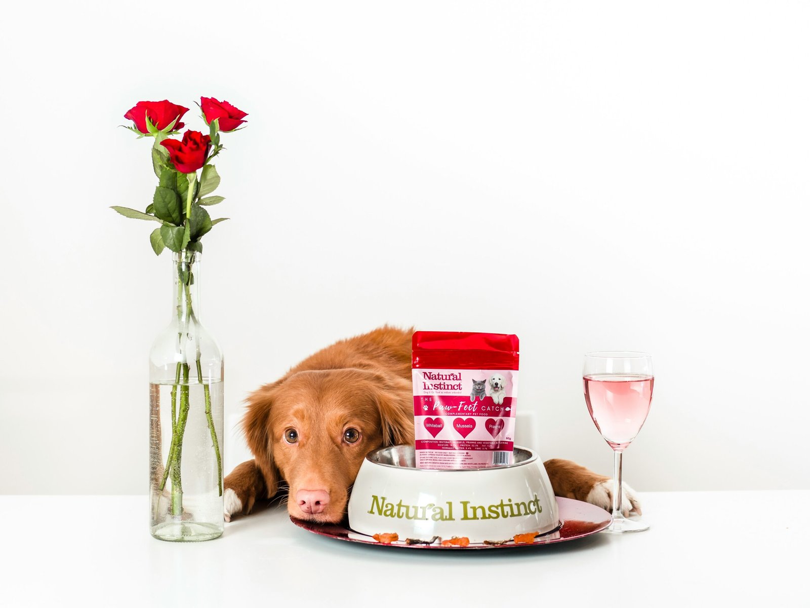 brown short coated dog on white ceramic plate beside clear glass vase